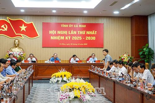 Ban Chấp hành Đảng bộ tỉnh Cà Mau khóa I Hội nghị lần thứ I