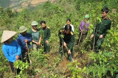 Cao Bằng phát triển kinh tế xanh từ rừng