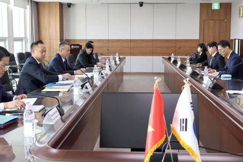 Cục Thuế chủ động hội nhập, học hỏi kinh nghiệm quốc tế để chuyển đổi số toàn diện