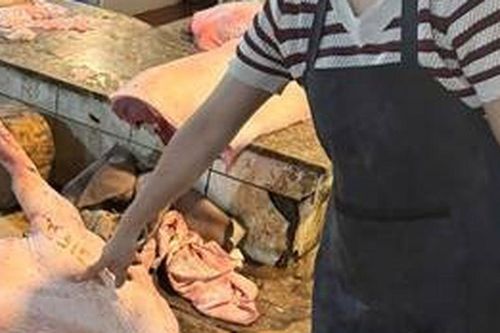 Hà Nội: Khởi tố nhóm đối tượng mua bán lợn mắc tả lợn Châu Phi