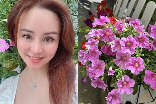 Khu vườn rực rỡ trong biệt thự 1.400m2 của ca sĩ Vy Oanh ở TP.HCM, trông chẳng khác nào 'resort tại gia'
