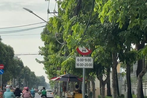Biển báo giao thông 'núp lùm' ở TP.HCM: Sở Xây dựng lên tiếng