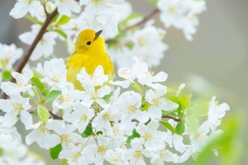 Ngày sinh Âm lịch của người ở hiền gặp lành, con cháu được hưởng phúc, gia đạo yên ấm