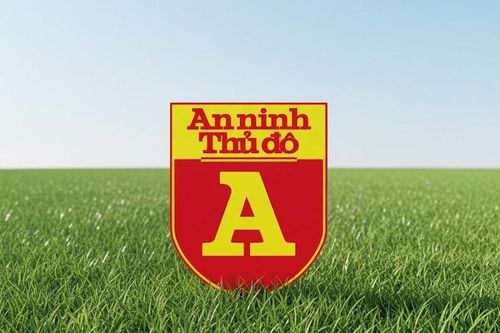 Bảng vàng thành tích lịch sử giải bóng đá học sinh THPT Hà Nội