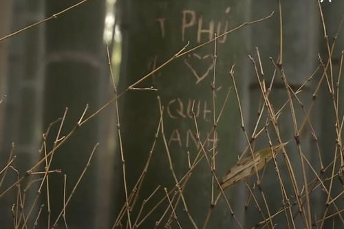 Du khách khắc tên 'Phú, Quế Anh' ở rừng tre nổi tiếng Nhật Bản