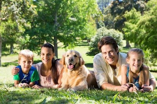 Cách hấp thu mối quan hệ để 'bổ khí'