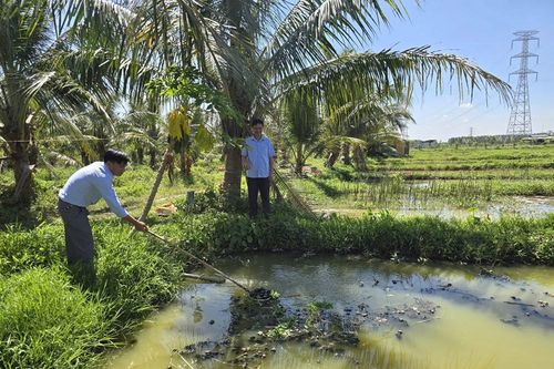 Phát triển kinh tế, thu nhập cao nhờ 'đặc sản đồng quê'