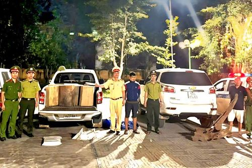 Thanh Hóa: Phát hiện xe tải chở gỗ lậu trên quốc lộ 217