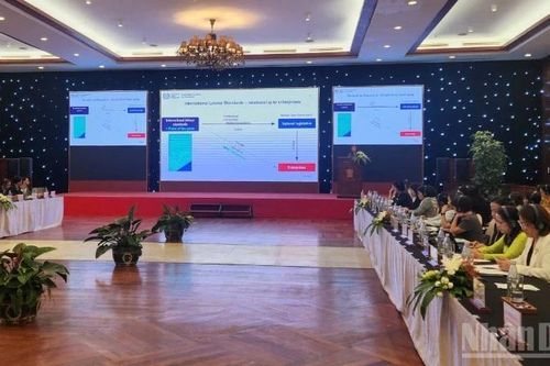 Thực hành kinh doanh có trách nhiệm trong nền kinh tế xanh toàn cầu