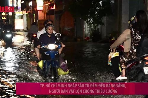 TP Hồ Chí Minh ngập sâu từ đêm đến rạng sáng, người dân vật lộn chống triều cường