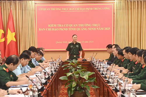 Kiểm tra cơ quan Thường trực Ban Chỉ đạo Phòng không nhân dân tỉnh Quảng Ninh