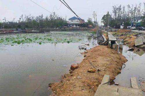 Hà Tĩnh: Điều tra nguyên nhân nam sinh tử vong cạnh ao nước