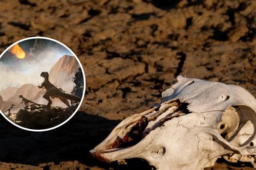 Trái Đất trước thảm họa tuyệt chủng thứ sáu, con người thành 'kẻ hủy diệt'