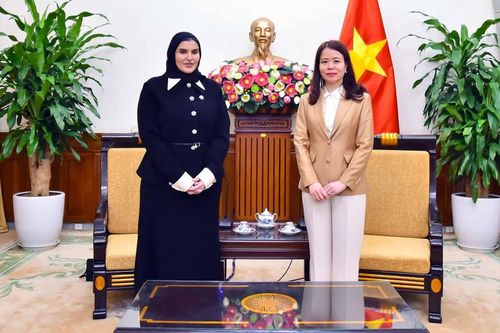 Thứ trưởng Ngoại giao Nguyễn Minh Hằng tiếp Quốc vụ khanh Bộ Ngoại giao Qatar
