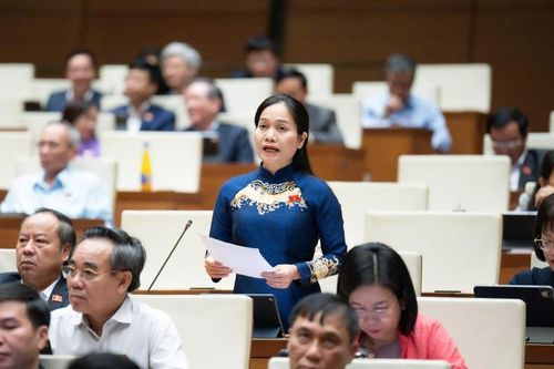 Cần quy định về thẩm quyền và hoạt động giám sát của Tổ đại biểu Hội đồng nhân dân