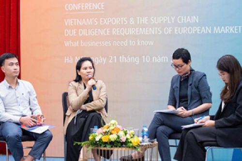 EU thẩm định chuỗi cung ứng: Việt Nam cần chuẩn bị gì để đáp ứng?