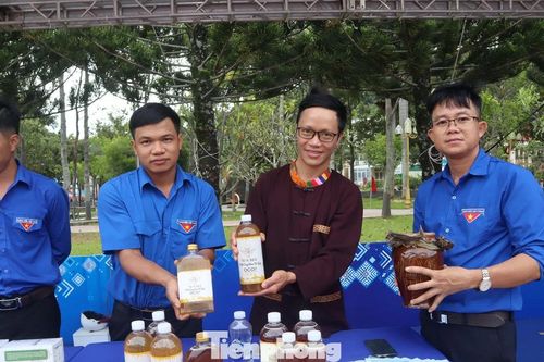 50 gian hàng 'cây nhà lá vườn' của thanh niên Tây Nguyên