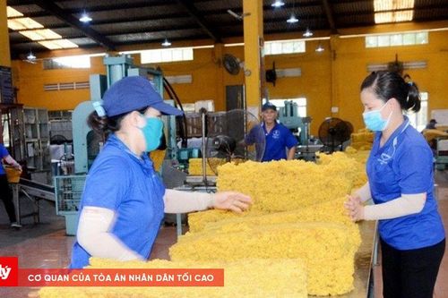 Đồng Nai mở đợt thanh tra toàn diện các cơ sở chế biến mủ cao su