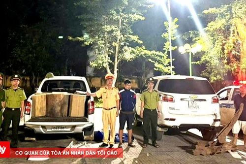 Bắt giữ vụ vận chuyển gỗ không rõ nguồn gốc