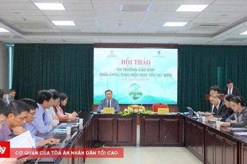 Hoàn thiện thể chế để đạt mục tiêu Net Zero