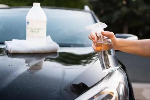 Cách làm sạch vết bẩn cứng đầu bám trên sơn xe bằng phương pháp siêu tiết kiệm