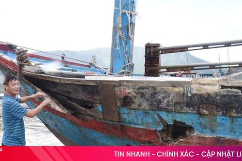 Vì sao ngư dân Hà Tĩnh chưa mạnh dạn đầu tư lớn cho sản xuất?