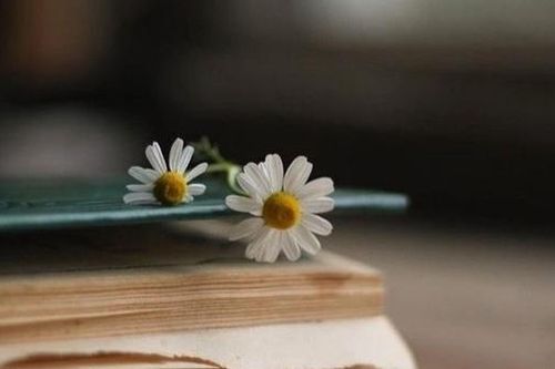 Bóng mình