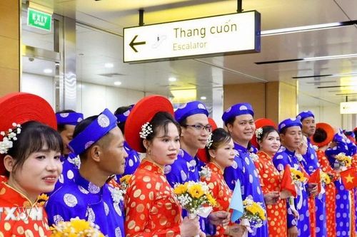 Thành phố Hồ Chí Minh: 50 cặp đôi cùng viết nên câu chuyện hạnh phúc