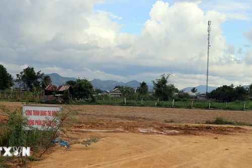 Đồng Nai cần thu hồi khoảng 3.400ha đất cao su để thực hiện các dự án lớn