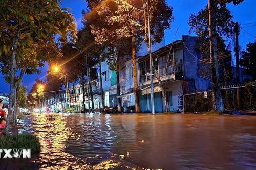 Triều cường khó lường, người dân Vĩnh Long vất vả ứng phó