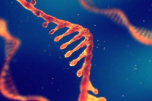 Bước tiến mới trong nghiên cứu thuốc nhắm trúng đích điều trị ung thư