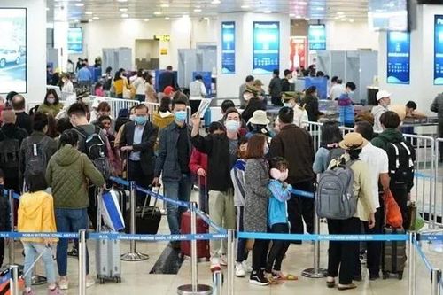 Sân bay Nội Bài đón hơn 25 triệu lượt khách, phục vụ các đợt cao điểm A50, A80