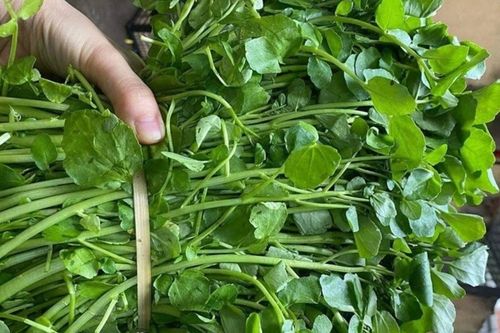 Chuyên gia Mỹ đánh giá một loại rau tốt nhất thế giới, ở Việt Nam bán rất rẻ lại nấu nhiều món ngon