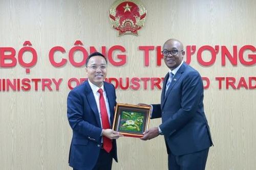 Việt Nam và Nam Phi thúc đẩy hợp tác thương mại, đầu tư và năng lượng