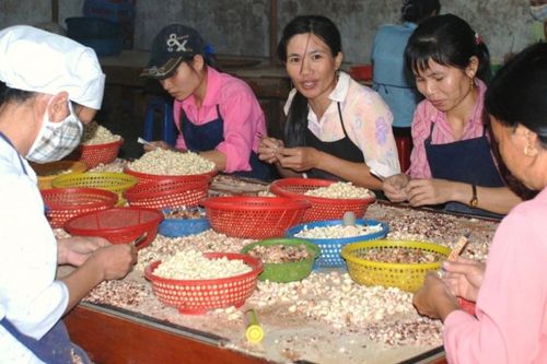 Xuất khẩu điều kỳ vọng cán mốc kỷ lục 5 tỷ USD