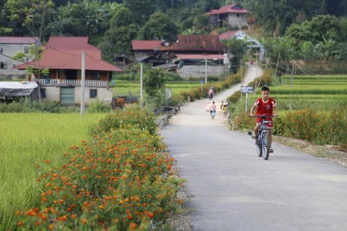 Xây dựng nếp sống xanh ở khu dân cư