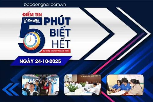 Điểm tin '5 phút biết hết' sáng 24-10: Đồng Nai xếp hạng 2/34 tỉnh, thành phố trong triển khai Bộ chỉ số 766