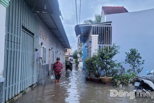 Đồng Tháp: Cảnh báo lũ khẩn cấp trên các sông