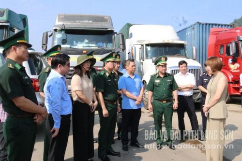 Hội nhập để vươn mình
