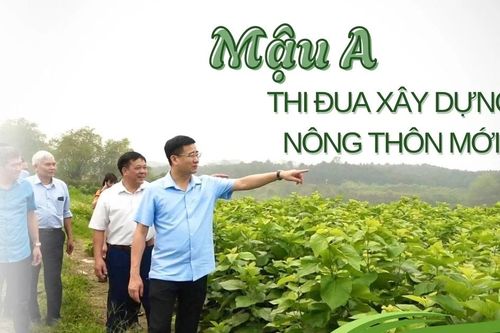 Mậu A thi đua xây dựng nông thôn mới