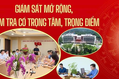 Giám sát mở rộng, kiểm tra có trọng tâm, trọng điểm