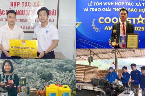 Thanh niên Lào Cai phát huy phong trào '5 tiên phong'