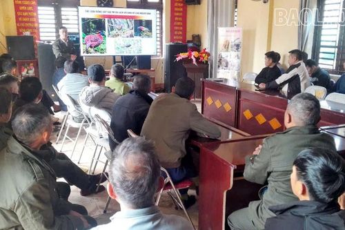 Tuyên truyền pháp luật đối với du khách và người dân khi chinh phục đỉnh Phansipang bằng đường bộ