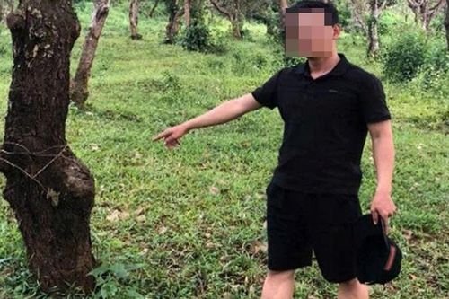 Công an xã Quảng Tân bắt nhanh đối tượng trộm bò chỉ sau vài giờ gây án