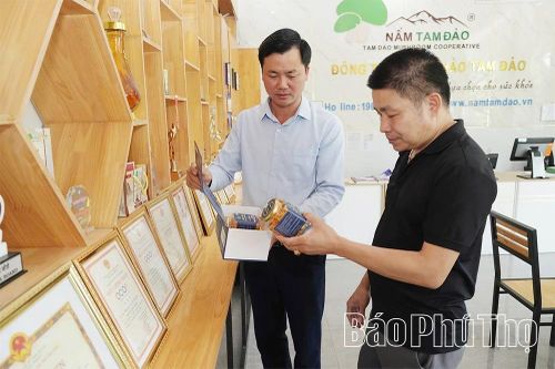 Chuyện khởi nghiệp của những 'ông chủ trẻ'