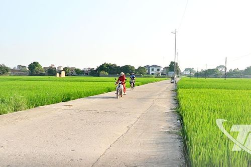 Nông dân chung sức xây dựng nông thôn mới