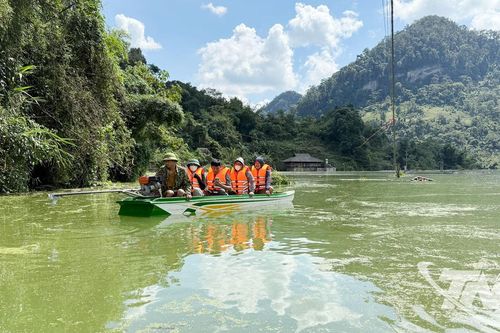 Nghĩa tình ở vùng bị ngập sâu