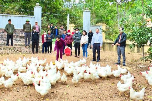 Đẩy mạnh truyền thông và giảm nghèo về thông tin