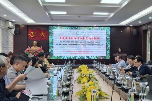 Chuyển đổi chuỗi giá trị cà phê: Thúc đẩy chi trả dịch vụ môi trường rừng và phát triển bền vững