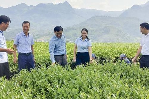 Hợp nhất ba Chương trình Mục tiêu quốc gia hướng tới xây dựng nông thôn mới toàn diện